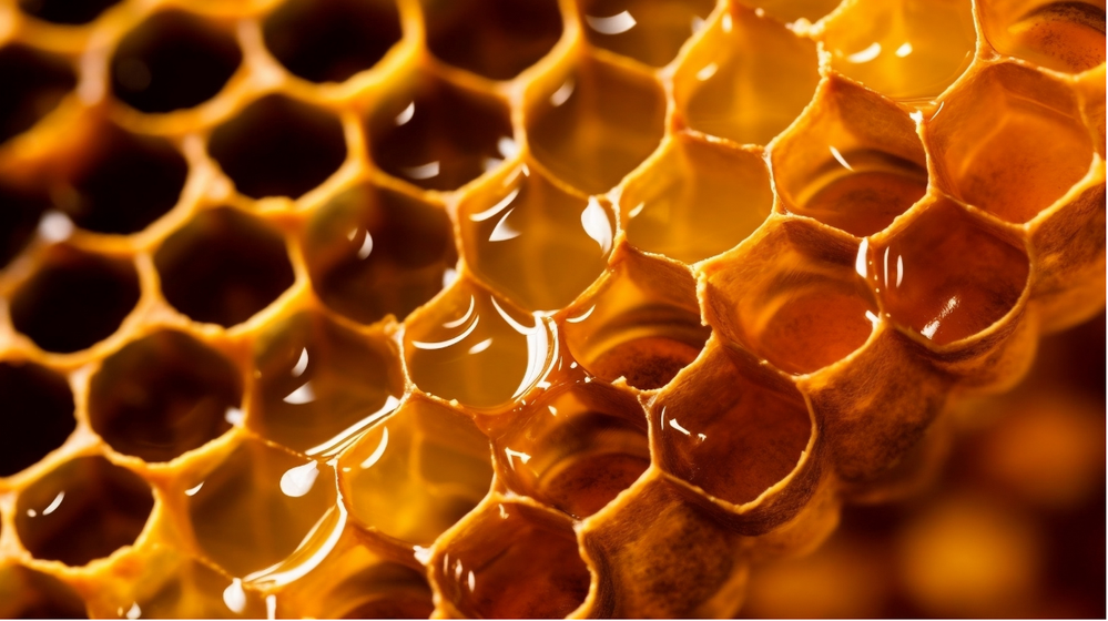 من الطبيعة لمائدتك